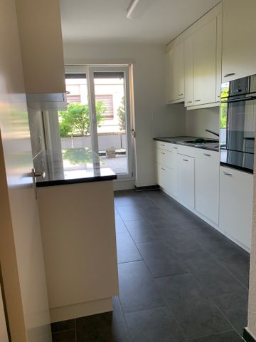 3 Zi.-Wohnung mit grosser Terrasse, stadtnah und ruhig - Photo 2