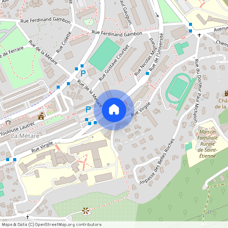 17 RUE DE L'UNIVERSITE, 42000, St Etienne