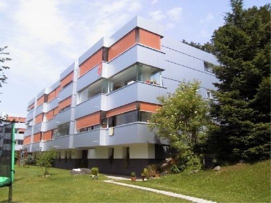 Accommodation in the countryside - Photo 1