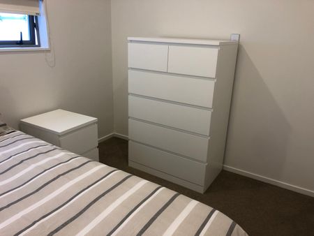 17 Vogel Lane – 2 - Photo 5