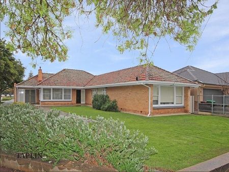 15 Wallace Street, Glenelg East - Photo 5