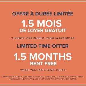 1 Bedroom Available At 315 East Rene Levesque Blvd, Montreal - 315 East Rene Levesque Blvd, Montréal - Photo 2