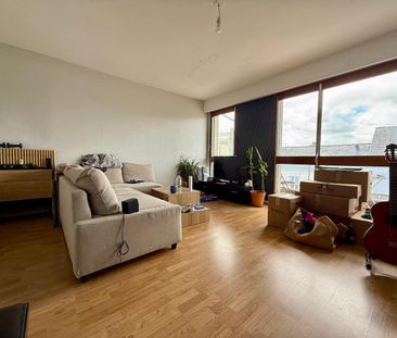 Location Appartement 2 pièces 49m² NANTES 44100 - Photo 1