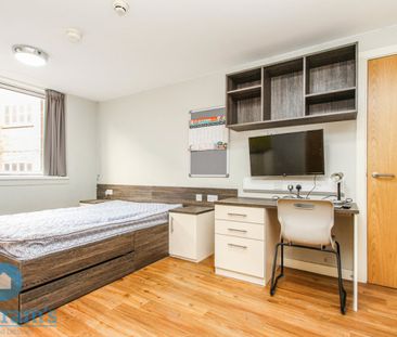 1 bed Studio for Rent - Photo 2