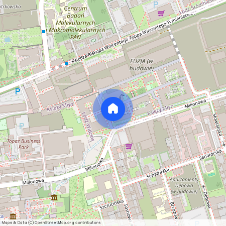 ul. Milionowa, Księży Młyn, Widzew, Łódź, łódzkie