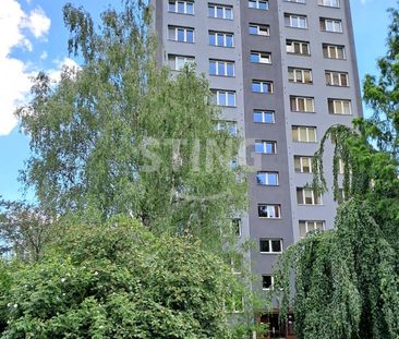 Pronájem bytu 2+1 54 m², Plzeňská , Ostrava - Photo 5