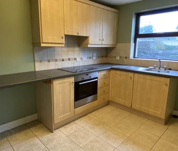 14 Killyleagh Street, Crossgar, BT30 9DQ - Photo 4