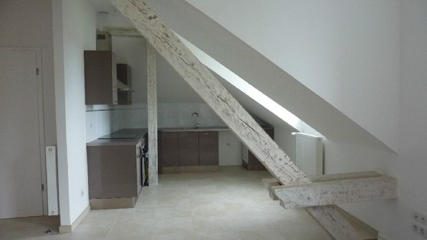 COLMAR - APPARTEMENT 2 Pièces - Photo 1