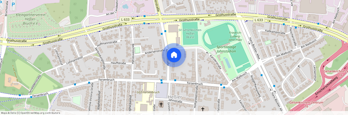 Grimmstr. 40, 45883 Nordrhein-Westfalen - Gelsenkirchen