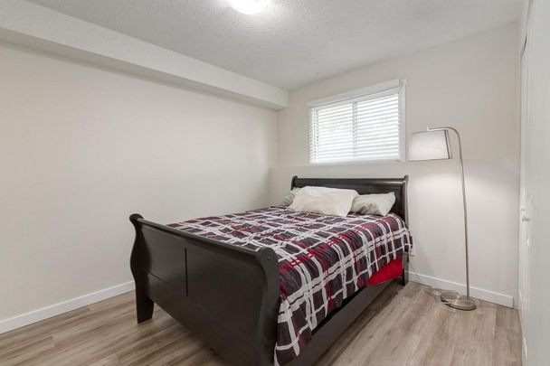 Renovated Suite - 2 Bedroom - Photo 1