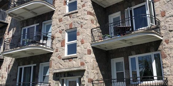 Appartement Montréal (Ville-Marie) À Louer - Photo 3
