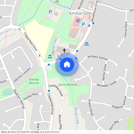 5 Wegg Place, Ambarvale NSW 2560