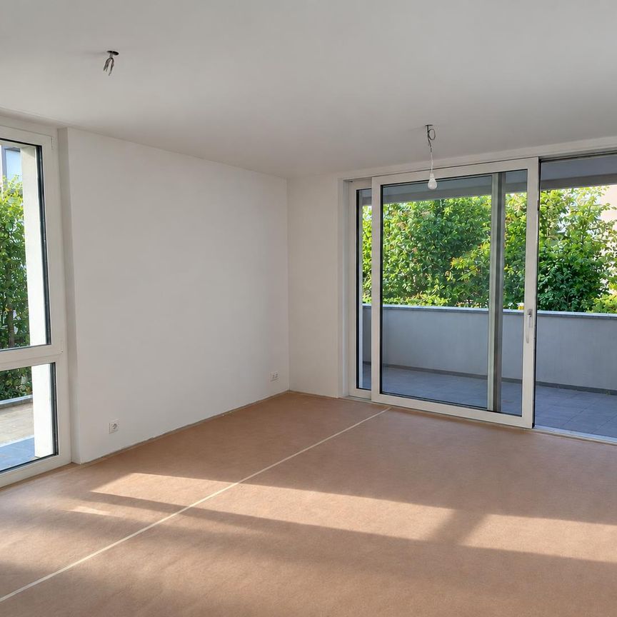 Erstvermietung - Grosszügige 2.5 Zimmer-Wohnungen zu vermieten - Photo 1
