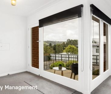 146 Elgin Road, Kenmure - Photo 1