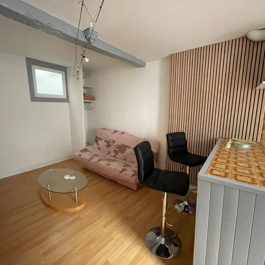 Location Appartement 1 pièce 24m² MONTREJEAU 31210 - Photo 1