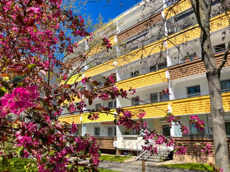 Salutstraße 19 - Photo 5