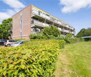 Appartement Meentweg 41, Stadshart, Lelystad - À Louer - Foto 1
