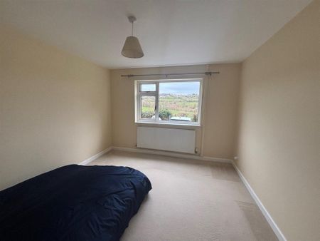 Lower Metherell, Callington - Photo 3