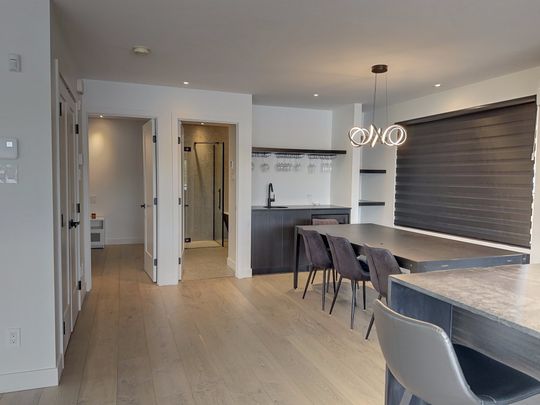 100 22e rue du Lac-des-Français - Photo 1