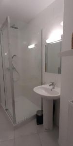 Location Appartement 1 pièce 30m² NANTES 44100 - Photo 4