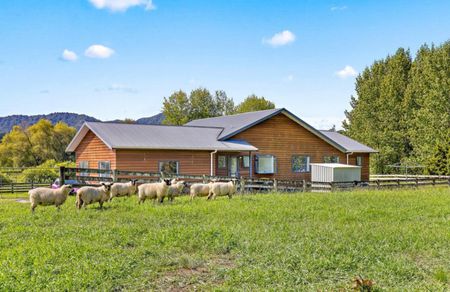 Country home minutes from Matakana Village - Photo 5