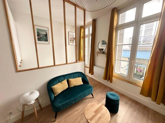 Location Appartement 1 pièce Meublé 16m² TOURS 37000 - Photo 1