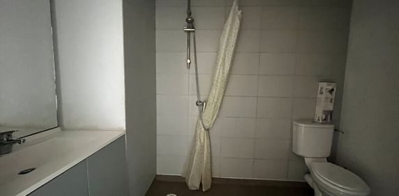 Location Appartement 1 pièce 21m² CENON 33150 - Photo 2