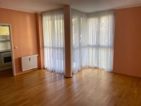 Neuwertige 2-Zimmer-Wohnung Herz Jesu Viertel - Foto 3