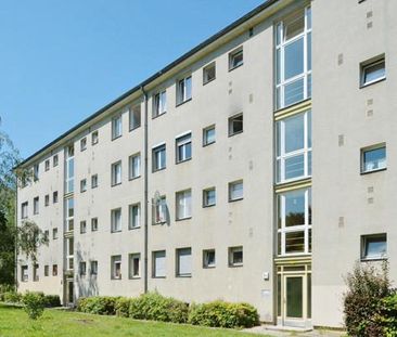 Perfekt für Heimwerker - Foto 1