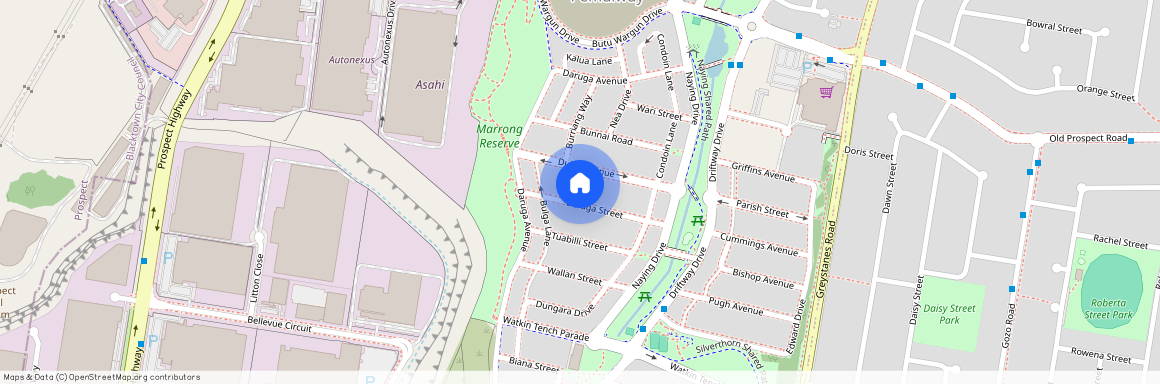 7 Talara Street, NSW 2145, Pemulwuy