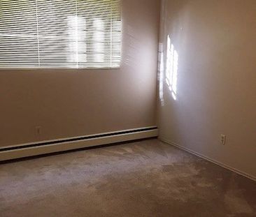 Cozy 1-Bedroom Apartment in Quiet Bankview Neighborhood - Photo 3