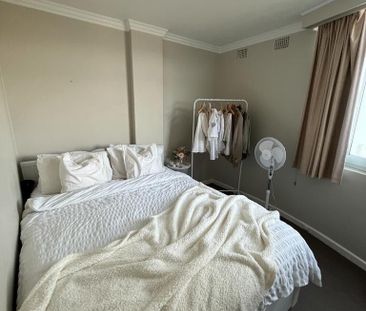 Manly - Photo 4