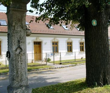IM NATIONALPARK DONAUAUEN MIT TERRASSE & HOFSEITIGER GRÜNFLÄCHE - P... - Photo 5