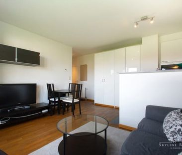 Studio te huur - Photo 2