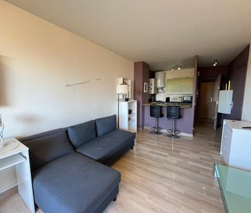 Location Appartement 1 pièce 23m² NICE 06200 - Photo 3