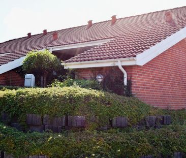 7800, Skive - Photo 6