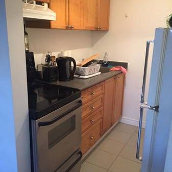 Downtown Toronto 1 BDRM Apartment - Photo 4