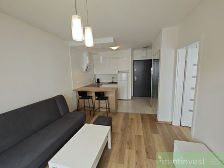 Eleganckie mieszkanie 2 pok. na wynajem + garaż! - Фото 4