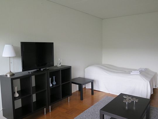 45 m² møbleret lejlighed Glostrup københavn - Photo 1