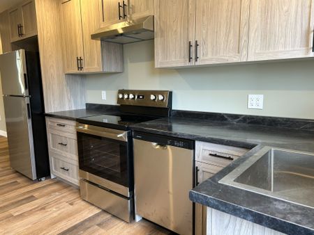 For Lease - 187 Balaklava Street Unit# Unit 4, Arran-Elderslie, Ontario - Photo 5