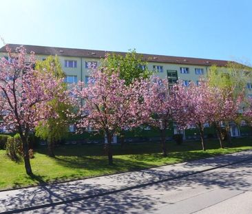 Platz für die kleine Familie - Photo 1