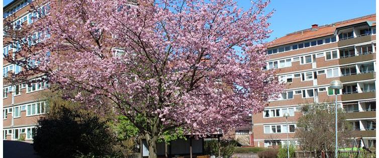 Landalabergen 7 - Photo 1