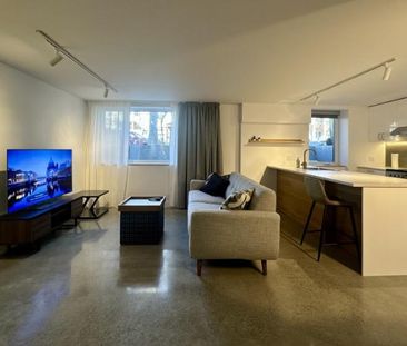 3 1/2 - Montréal (La Petite-Patrie) - 1 675 $/mois - Photo 1