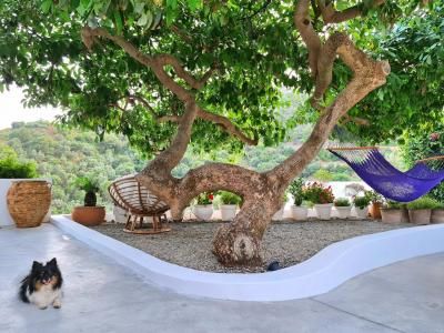 Villa - Ojen (Carretera de Ojén) - Photo 4