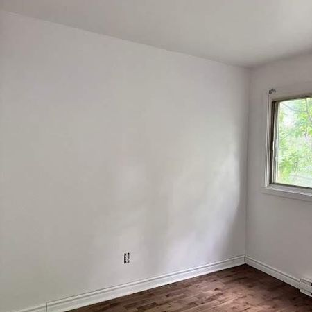 1 CH - 1 SDB - Montréal - $1,300 /mo - Photo 3
