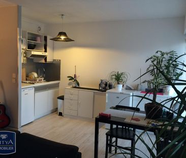 Location Appartement 1 pièce 33m² MANDELIEU LA NAPOULE 06210 - Photo 6