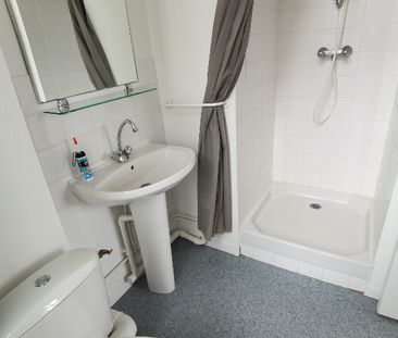 Location Appartement 1 pièce 18m² RENNES 35000 - Photo 3