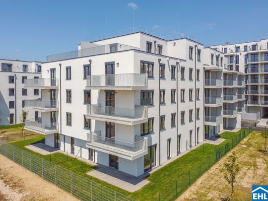 DER BALLON - Ankommen und abheben - NATURNAHES WOHNEN NAHE DER SEESTADT ASPERN - Photo 1