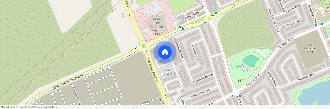 117 Ryan Reynolds Way, Orleans - Cumberland And Area