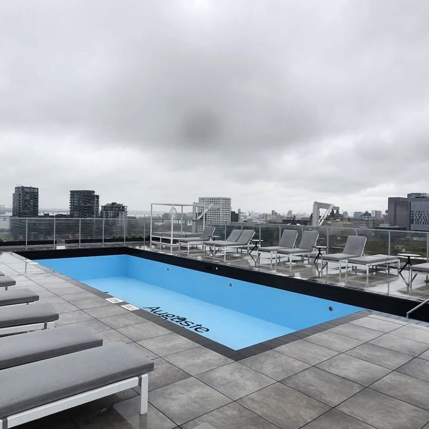 Appartement à louer, Montréal (Ville-Marie) - Photo 1
